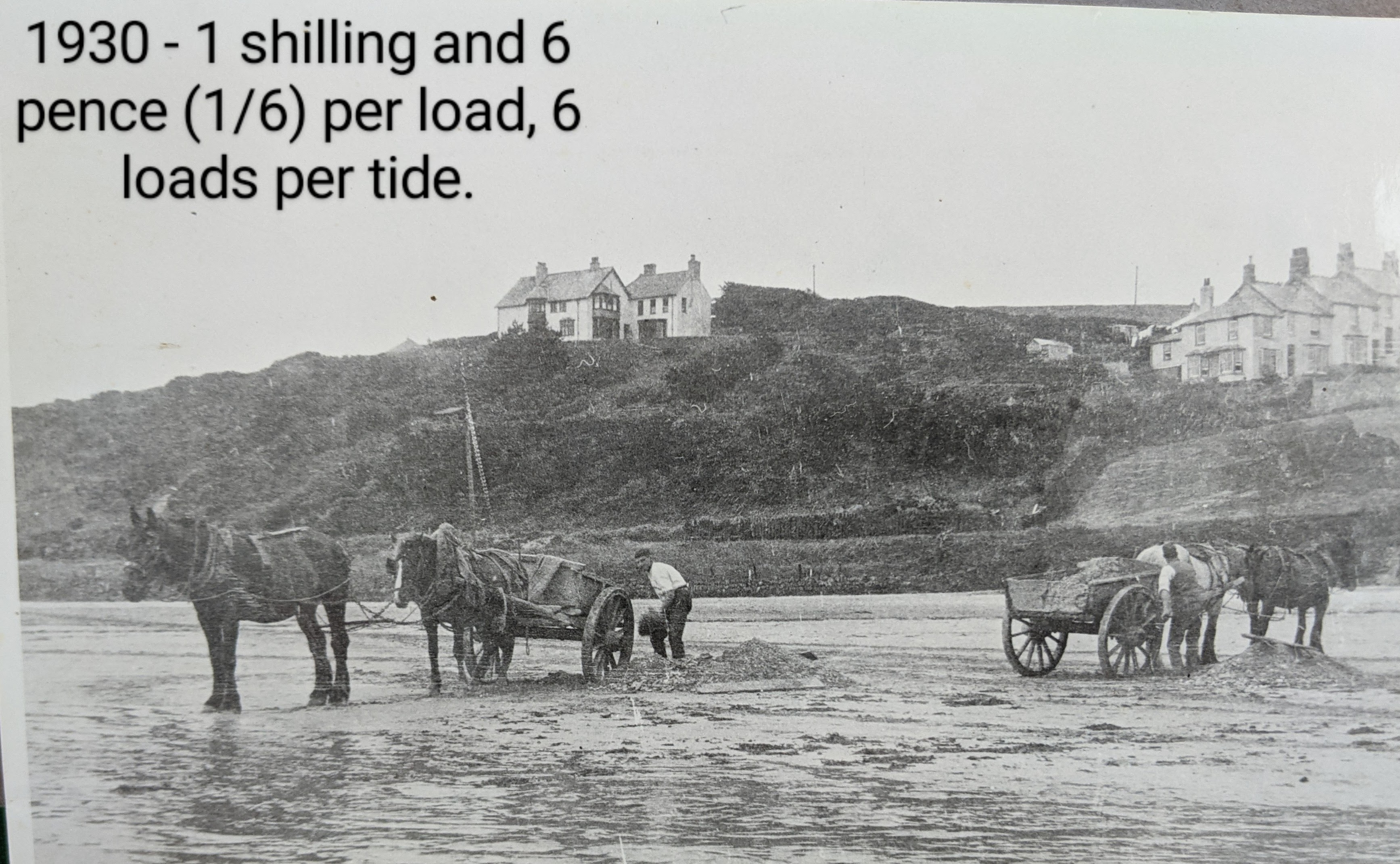 1930-sand-carting.jpg