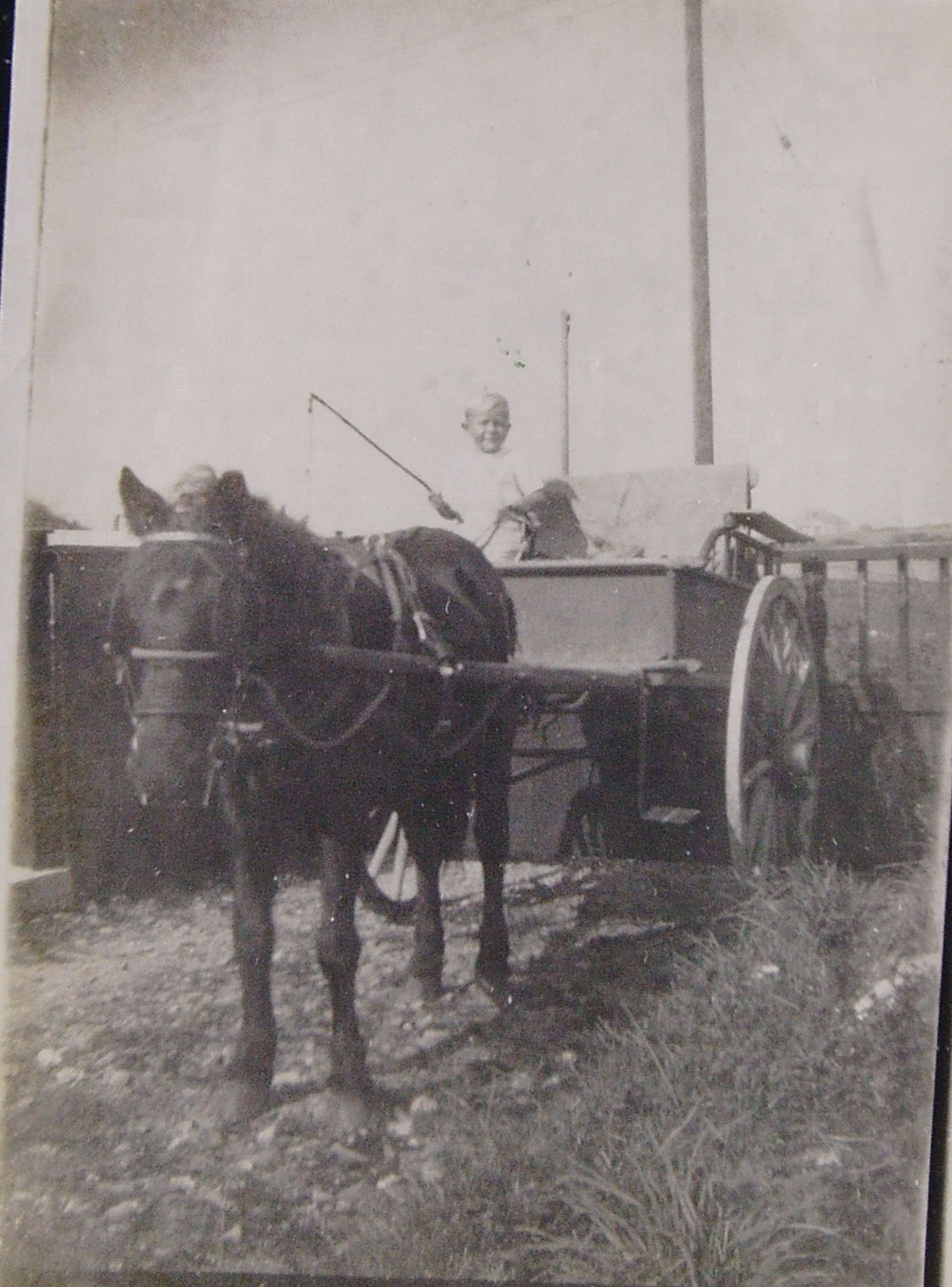 1941 - Brian Oaten age 2 or 3, inside the gate at the first Trelawney Trebetherick, (built by his father Lewis Oaten and now renamed Pen-y-Bryn) having ridden with Brian's grandfather John Oaten, from grandparent's home 'Kitts Hill', St Kew