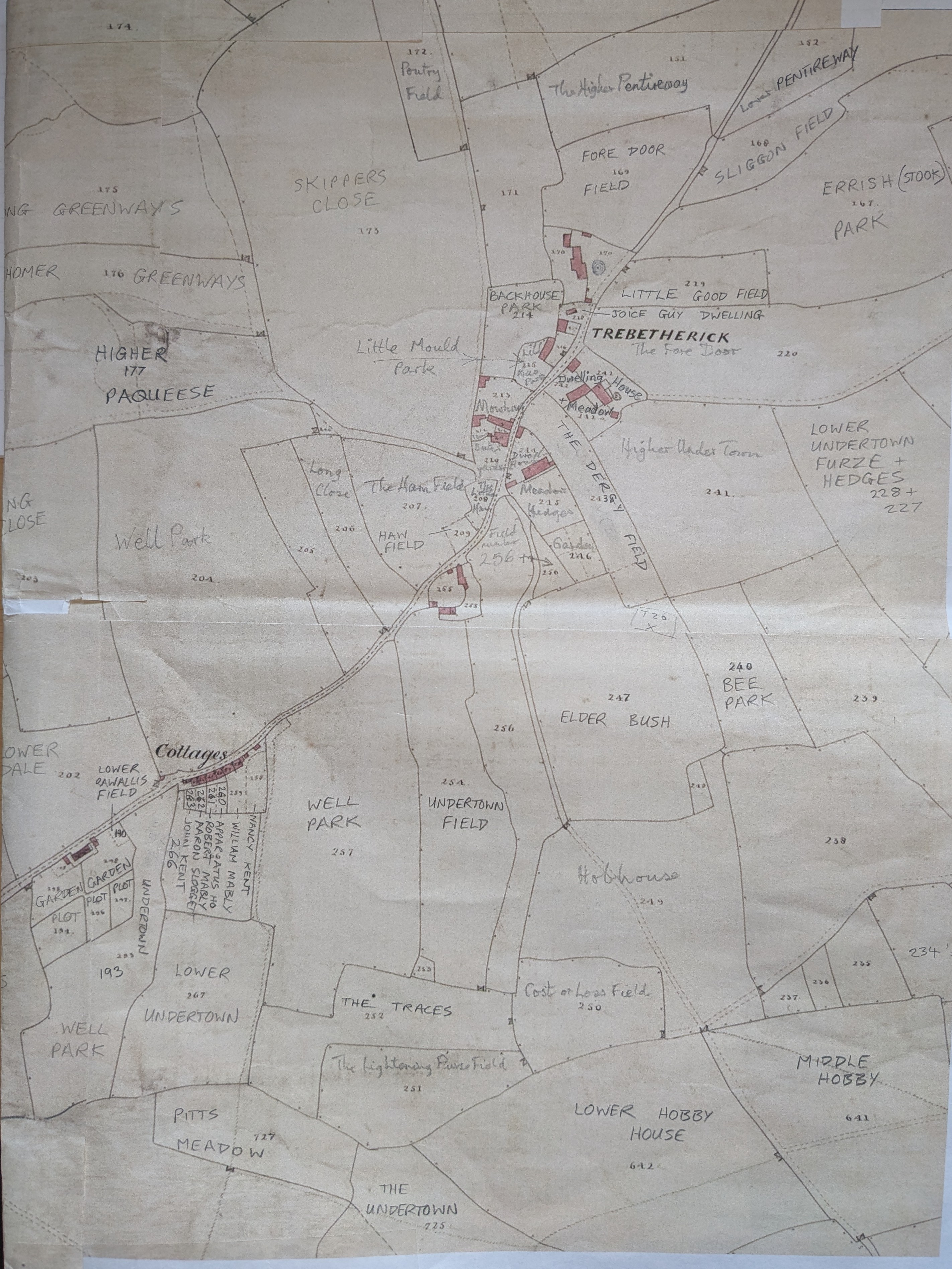 Photo-Fields-Trebetherick.jpg