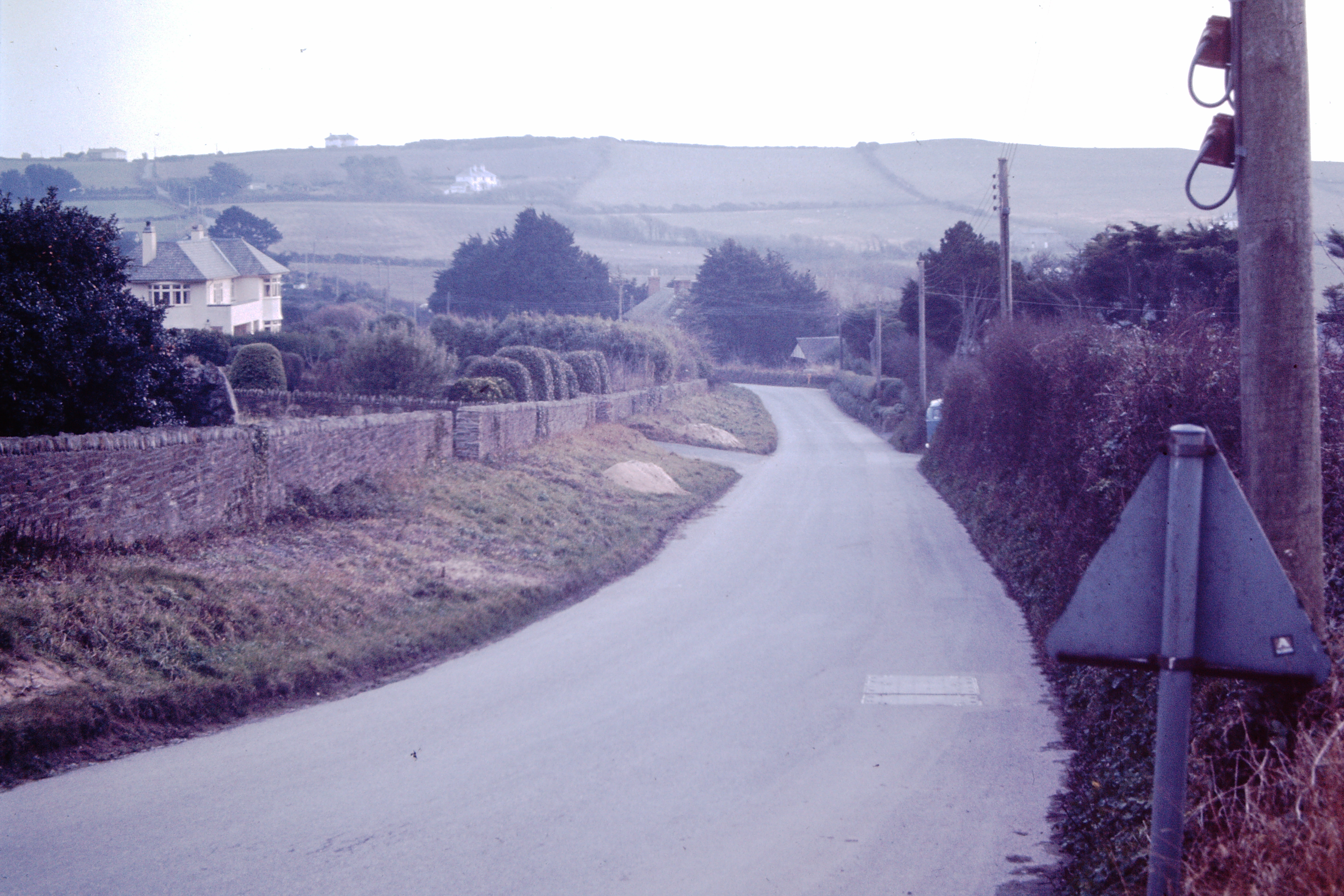 Opposite The Haven entrance, looking down Worthy Hill, in the mid 1960s only The Coppice had been built down to the cream house, Floradene